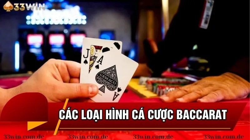 Các loại hình cá phổ biến trong Baccarat